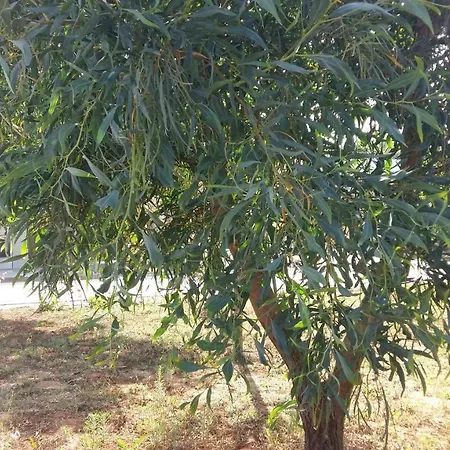 Casetta Con Veranda E Giardino A 150 Metri Dal Mare * גאליפולי