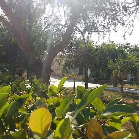 Holiday home Casetta Con Veranda E Giardino A 150 Metri Dal Mare Gallipoli